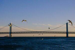 pontes e arquitetos dentro san francisco, EUA foto