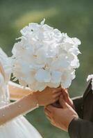 noivo e noiva segurando uma ramalhete do branco orquídeas foto