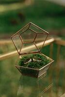 dois ouro Casamento argolas dentro uma lindo elegante vidro caixa com musgo. vidro mesa. Casamento acessórios. foto