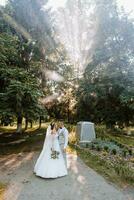 lindo casal dentro amor em seus Casamento dia. uma andar dentro a parque dentro a luz solar através a folhas do a árvores, a noiva e noivo abraçar. surpreendente Beijos e abraços foto