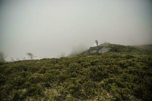 feliz Casamento casal dentro a montanhas em pé em uma grande pedra. a noivo abraços e Beijos a noiva. Casamento foto sessão dentro natureza. foto sessão dentro a floresta do a noiva e noivo. Largo ângulo