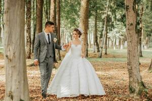 a noiva e noivo andar mão dentro mão através a floresta. feliz casal. Casamento foto. casal dentro amar. alta árvores, ângulo amplo foto. perfeito luz foto