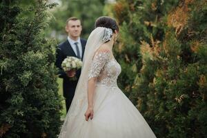 Casamento retrato do a noiva e noivo dentro natureza. uma à moda noivo carrinhos atrás a noiva, dentro a jardim perto a árvores lindo renda véu e renda vestir. feriado conceito foto