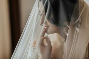 retrato. uma morena noiva dentro uma branco vestir, embrulhado dentro uma véu, parece baixa e toques dela face, poses. linda Maquiagem e cabelo. volumoso véu. Casamento foto. lindo noiva foto