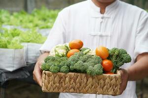 fechar acima vegetariano homem aguarde cesta do fresco orgânico legumes dentro jardim. conceito, Comida ingrediente. saudável comendo, fonte do vitaminas, fibra e nutrições. fresco a partir de jardim.agricultura produtos. foto