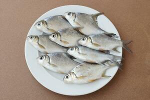 cru peixe para cozinhando em branco placa, preparado para culinária, Castanho fundo. conceito, comestível local água fresca peixe a partir de rio dentro tailândia. barata peixe. Comida ingredientes. foto