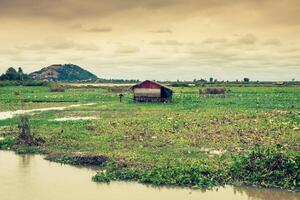 casas em palafitas em a flutuando Vila do Kampong phluk, Tonle seiva lago, siem colher província, Camboja foto