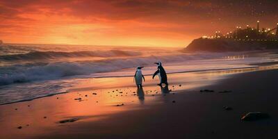 ai gerado uma par do pinguins apreciar a beleza do a de praia às crepúsculo. pinguim casal. generativo ai foto