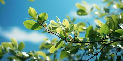 ai gerado fresco verde folhas com nublado azul céu visualizar. generativo ai foto