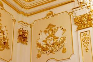 nesvizh, bielorrússia - 23.08.2023 - heráldico decorações em a paredes do a Radzwill castelo. história foto