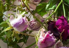 conceito tiro do a fundo tema, invólucro papel, seco rosas de outros flores e de outros arranjos. Casamento foto