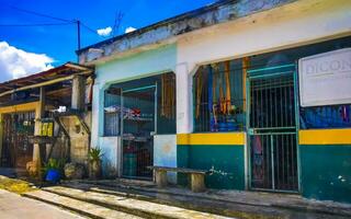 Tulum quintan roo México 2023 típica colorida rua estrada tráfego carros Palmeiras do Tulum México. foto