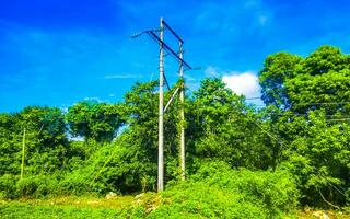 eletricidade pilone poder pólo dentro a tropical selva floresta México. foto