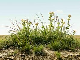 ai gerado pradarias gramíneas com azul céu visualizar. Relva em selvagem campo. generativo ai foto