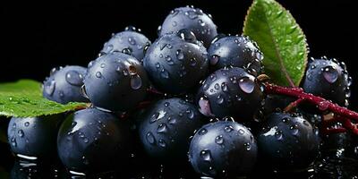 ai gerado fresco Açaí baga com água gotas isolado em uma Preto fundo. euterpe oleracea. generativo ai foto