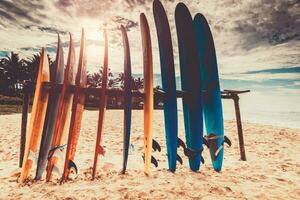 pranchas de surf em a prateleira foto