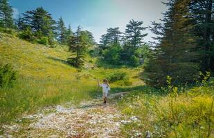 fofa pequeno Garoto caminhando dentro a floresta foto