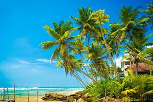 tropical período de férias para sri lanka foto