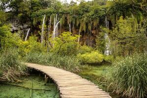 profundo floresta fluxo. cristal Claro água. plitvice lagos, Croácia foto