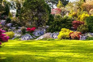jardins musgo killarney nacional parque, Irlanda foto