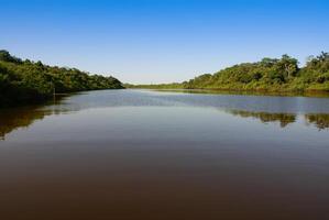 uma rio e lindo árvores dentro uma floresta tropical Peru foto