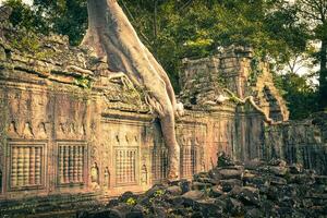 preah cã têmpora, Angkor área, siem colher, Camboja foto