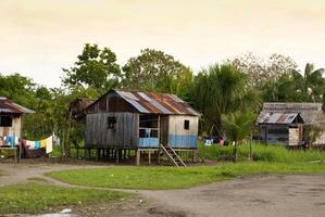 Peru, peruano amazonas panorama. a foto presente típica indiano tribos assentamento dentro Amazonas