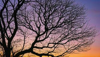ai gerado árvore recortado contra roxa céu às pôr do sol foto