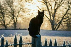ai gerado Preto gato sentado em cerca dentro a neve foto