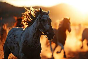 ai gerado lindo cavalos corrida dentro a Prado às pôr do sol. cavalos dentro movimento foto