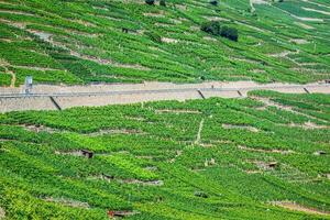 a suíço alpino Cidade do martigny cercado de vinhas e montanhas foto