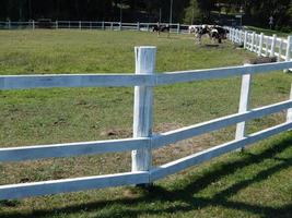 móveis de jardim e pequenas formas arquitetônicas foto