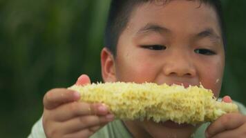 ásia criança comendo fresco milho às milho jardim. foto