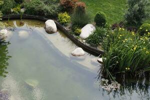 decorativo plantas dentro uma pequeno lagoa com árvores por aí foto