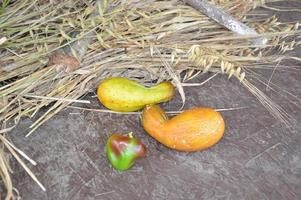 natureza morta de frutas e vegetais colhidos no jardim foto