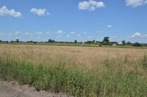 panorama de campos de paisagem e estradas na aldeia foto