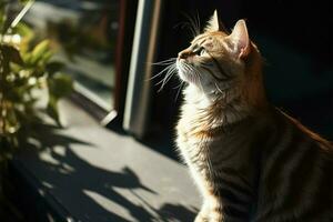 ai gerado curioso vermelho gato ao ar livre, Vigilância olhar explorando a arredores foto