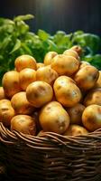 ai gerado orgânico batatas dentro uma cesta, recentemente colhido em uma ensolarado campo vertical Móvel papel de parede foto