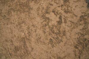 vaca estrume Castanho gesso do solo abstrato textura fundo campo do Bangladesh foto