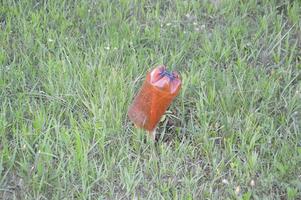 mecanismo de proteção de garrafas plásticas contra toupeiras para jardim e vegetais foto