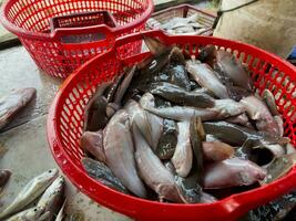 peixe dentro uma plástico cesta às uma vendas mercado foto