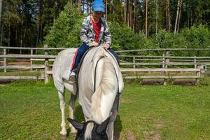 alegre criança equitação uma branco cavalo contra uma pano de fundo do verão beleza foto