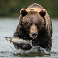 ai gerado Castanho Urso Caçando pescaria foto