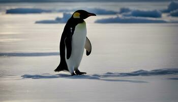 ai gerado uma pinguim em pé em a gelo dentro a meio do a oceano foto