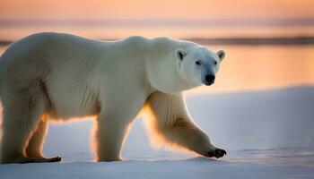 ai gerado uma polar Urso caminhando através uma Nevado campo foto