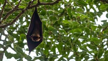 ai gerado uma bastão suspensão parte de cima baixa a partir de uma árvore ramo foto