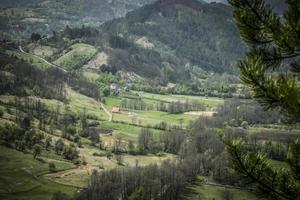 bela vista da paisagem de mokra gora na primavera foto