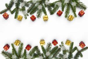 galhos do uma Natal árvore e vermelho e amarelo presente caixas em uma branco fundo. Natal fundo com copyspace. foto