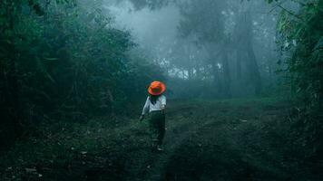 pequeno menina caminhada dentro a montanhas em uma lindo inverno manhã. família em uma caminhada aventura através a floresta. família gastos Tempo juntos em período de férias. foto