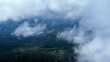 aéreo Visão do tropical floresta com névoa dentro a manhã. topo Visão a partir de zangão do lindo montanha tropical floresta durante inverno dentro tailândia. natural panorama fundo. foto